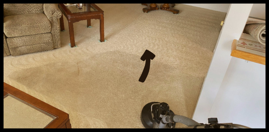 stains removed from living room carpet